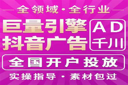 网络推广中的竞价广告：成功案例解析